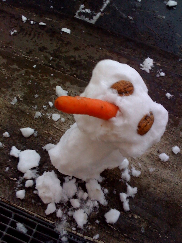 schneemann