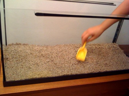 Das neue Aquarium wird mit Kies befüllt Das neue Aquarium wird mit Kies befüllt