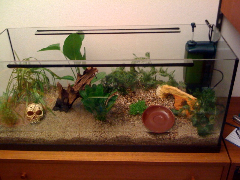 Das Aquarium noch ohne Wasser