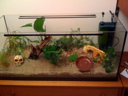 Das Aquarium noch ohne Wasser Das Aquarium noch ohne Wasser