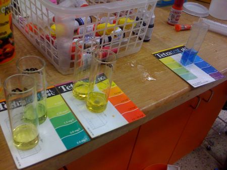 Wassertest beim Aquarium Wassertest beim Aquarium