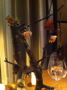 01_Amuse Aufmerksamkeiten aus der Küche, serviert am Ast.