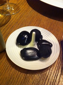 01_Steine Steine aus dem Tegernsee :-)