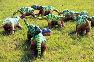 Hier eine Herde von freilegenden Pleos. 
