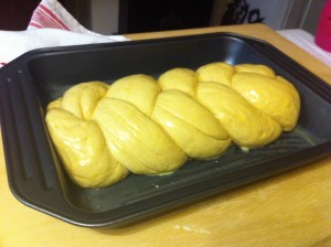 IMG_7124 Hier liegt der Zopf von Amidala in der Form.