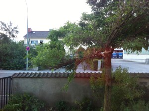 Foto vom Sturmschaden. Brauch ich da einen Pressefotografen?