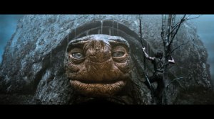 kroete Morla die Schildkröte