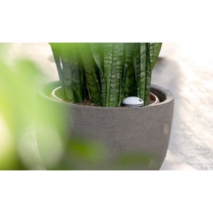 Der Sensor meldet dem iPhone, wann die Pflanze Wasser braucht. 