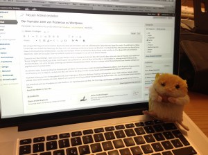 Der Hamster beobachtet den Umzug seines Blogs