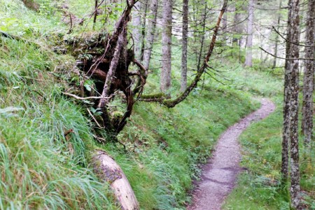 In ein bis zwei Stunden ist der Höllerundweg zu bewältigen.