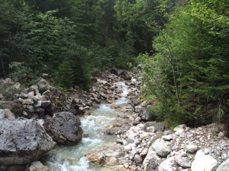 Der Eckbach im Naturschutzgebiet Allgäuer Hochalpen zählt zu den letzten unverbauten Wildbächen im Oberallgäu.