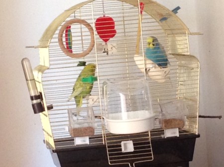 Hansi und Sinatra - noch zu zweit 