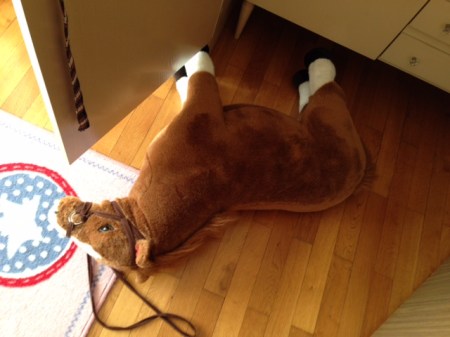 Dieses Pferd braucht eine Versicherung.