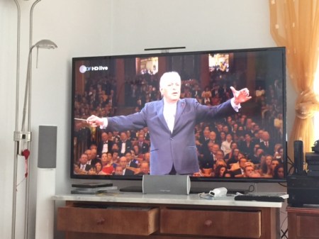 Ich liebe das Neujahrskonzert.