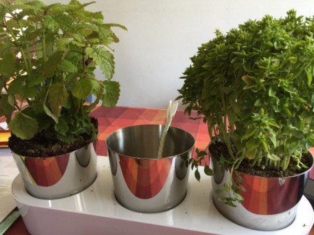 Kräutergarten - Made by WMF,