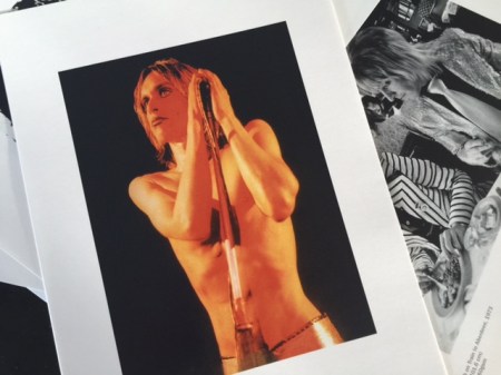 Wahnsinn, der Wahnsinnige Iggy.