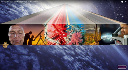 Gebannt habe ich zugeschaut, aber wenig verstanden.