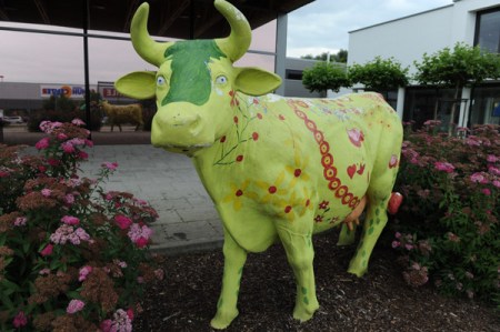 Diese Kuh braucht neue Farbe. Sei dabei beim Malwettbewerb der Metzgerei Moser.