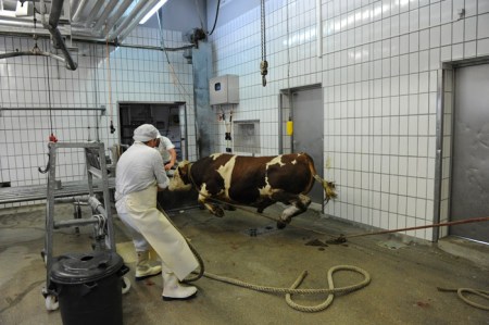 Der Augenblick des Todes.