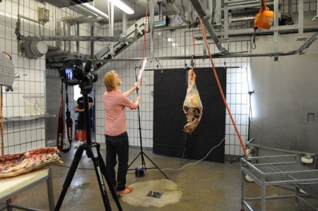 Für BEEF brauchen wir interessante Bilder. 