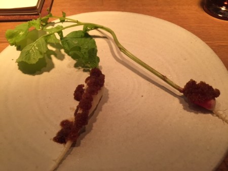 Radieschen von Grete Peschke