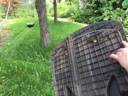 Einige Tage war der Mäher krank, jetzt mäht er wieder, Gott sei Dank. 