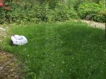 Automower_3359