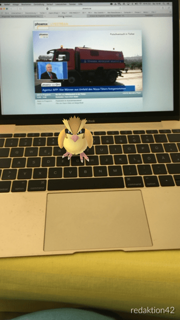 Während ich blogge, kommt ein Pokemon vorbei und sagt Grüß Gott. 