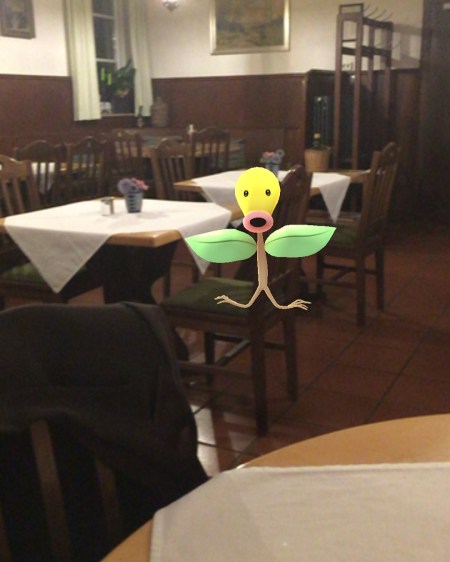 Ein Pokemon trieb sich auch rum.