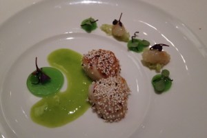 Jakobsmuschel, Apfel und Sellerie