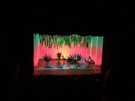 Der König der Löwen in Hamburg.