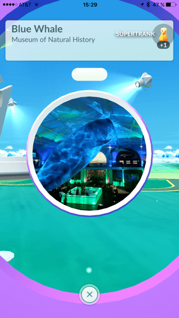 Beim Blauwal war ein Poke Stopp.