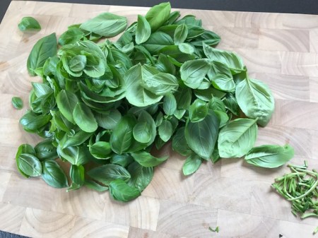 Die Basilikum-Bätter werden geerntet.