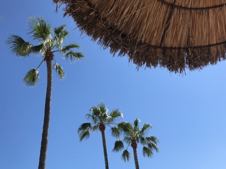 Dieses Jahr im Urlaub mehr Sport gemacht.