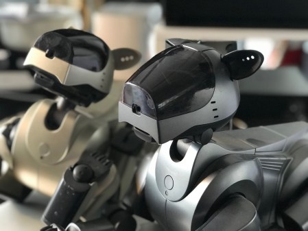 Wuff Wuff - die Aibos zu Hause in Gold und Silber. 