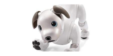 Sony will 2018 den neuen Aibo verkaufen. Foto: Sony