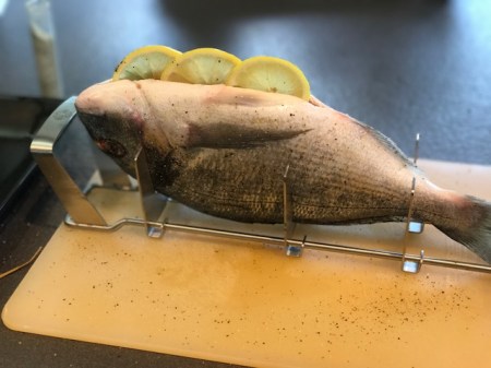 Die Dorade liegt in ihrem Fischrack.