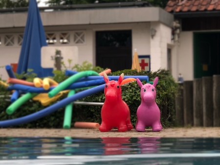 Heimliche Beobachter im Freibad Maisach.