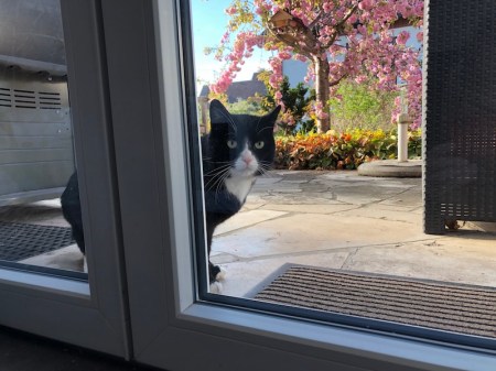 Pauli stattet uns einen Besuch ab.