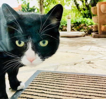 Hallo, jemand zu Hause?