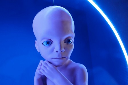 Das Sternenkind aus 2001. 