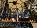 Wien_Dom_0237