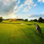 53E3F025-25F5-40C4-BBD9-A64D87FA38DD